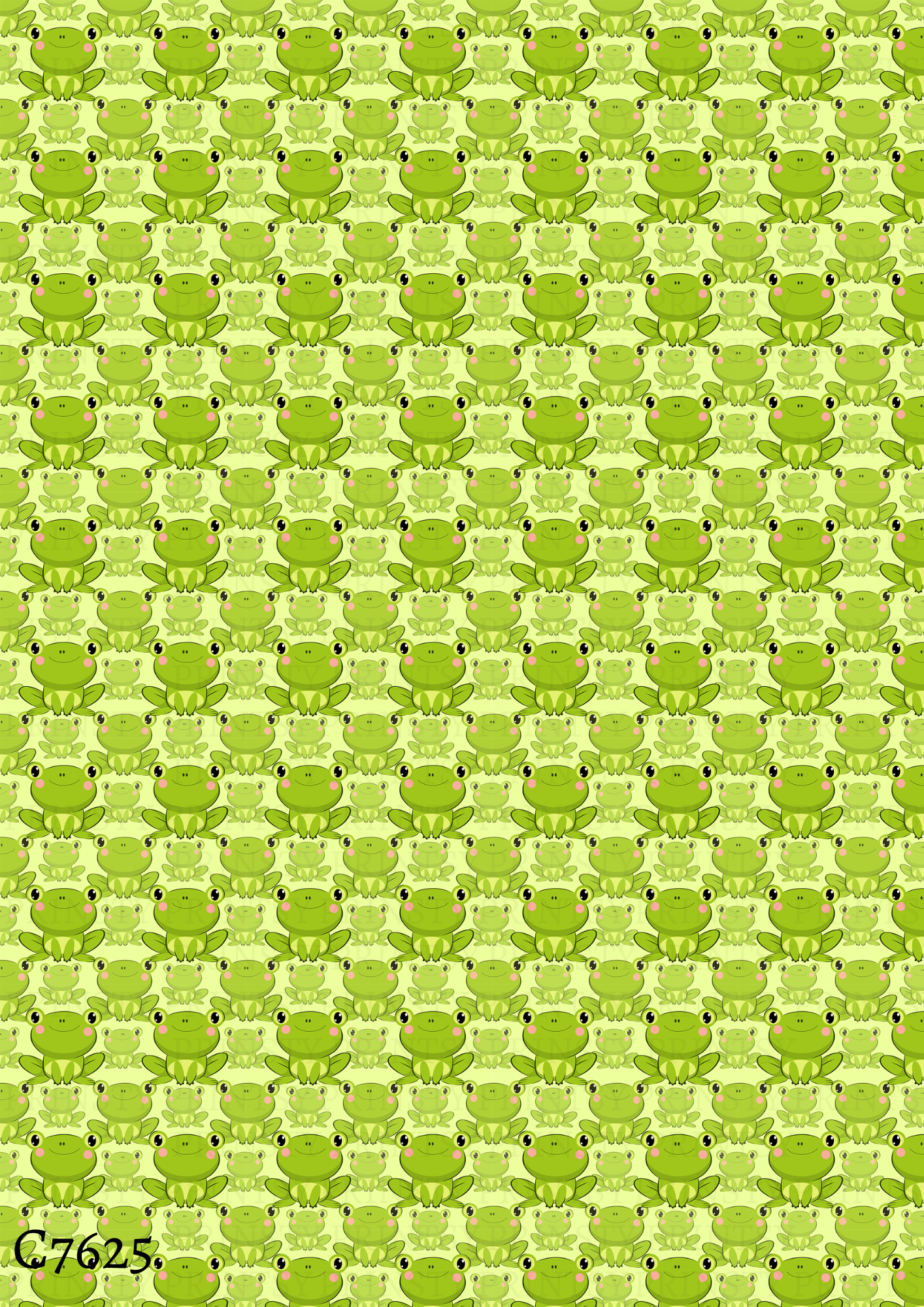 Frog Canvas