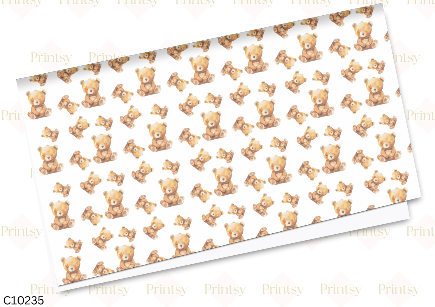 Teddy Canvas