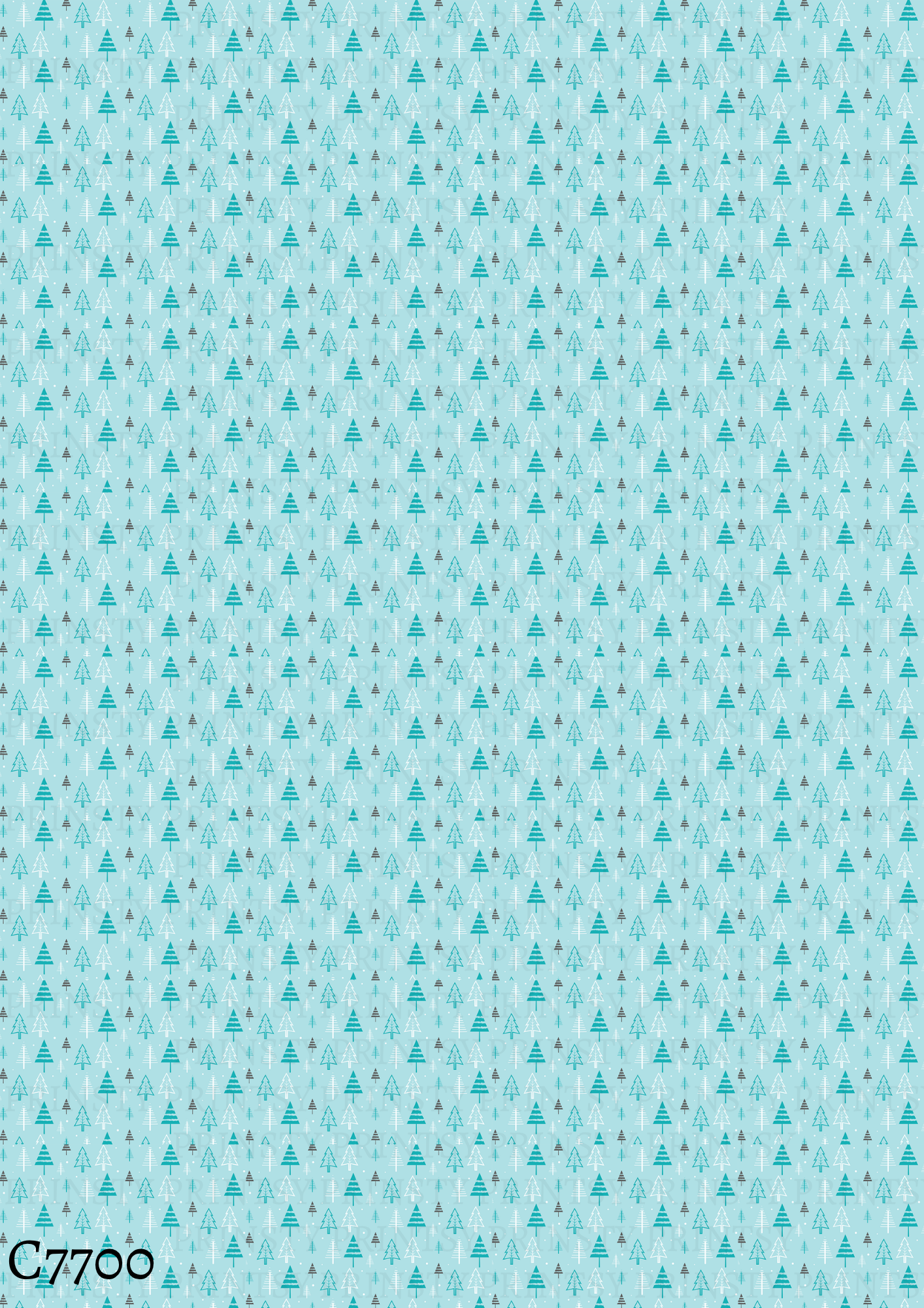 Christmas Canvas