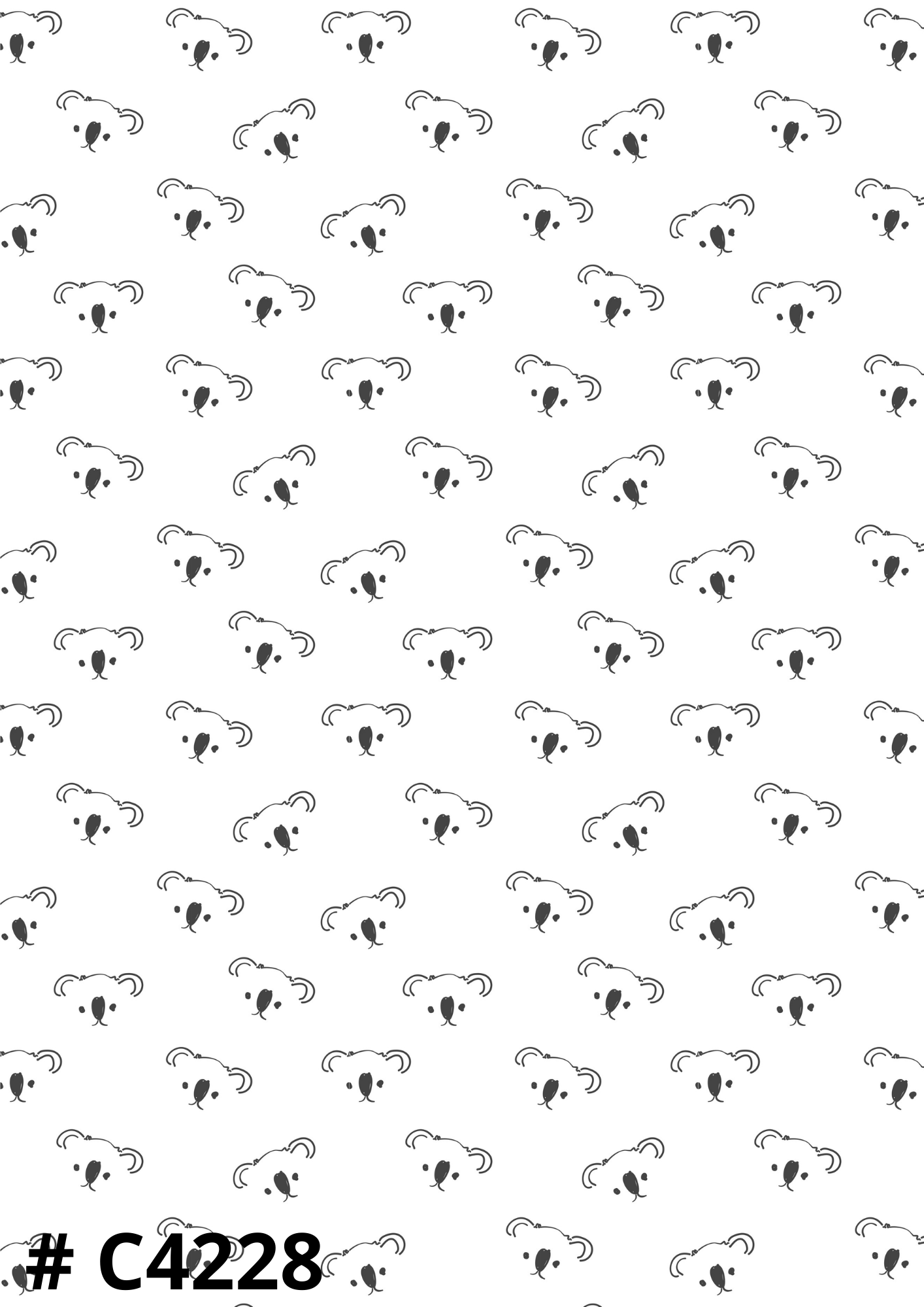 Koala Canvas