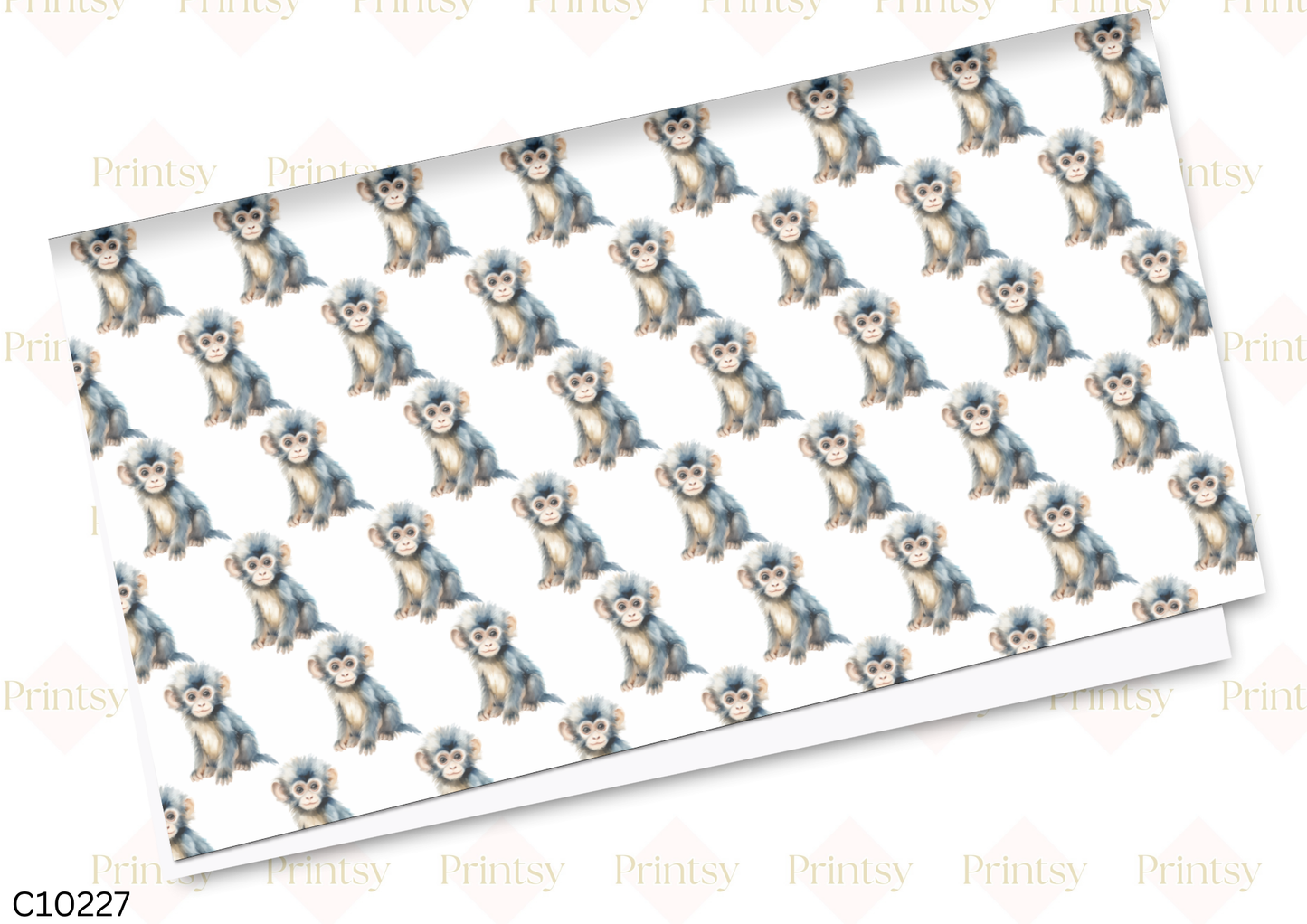 Monkey Canvas