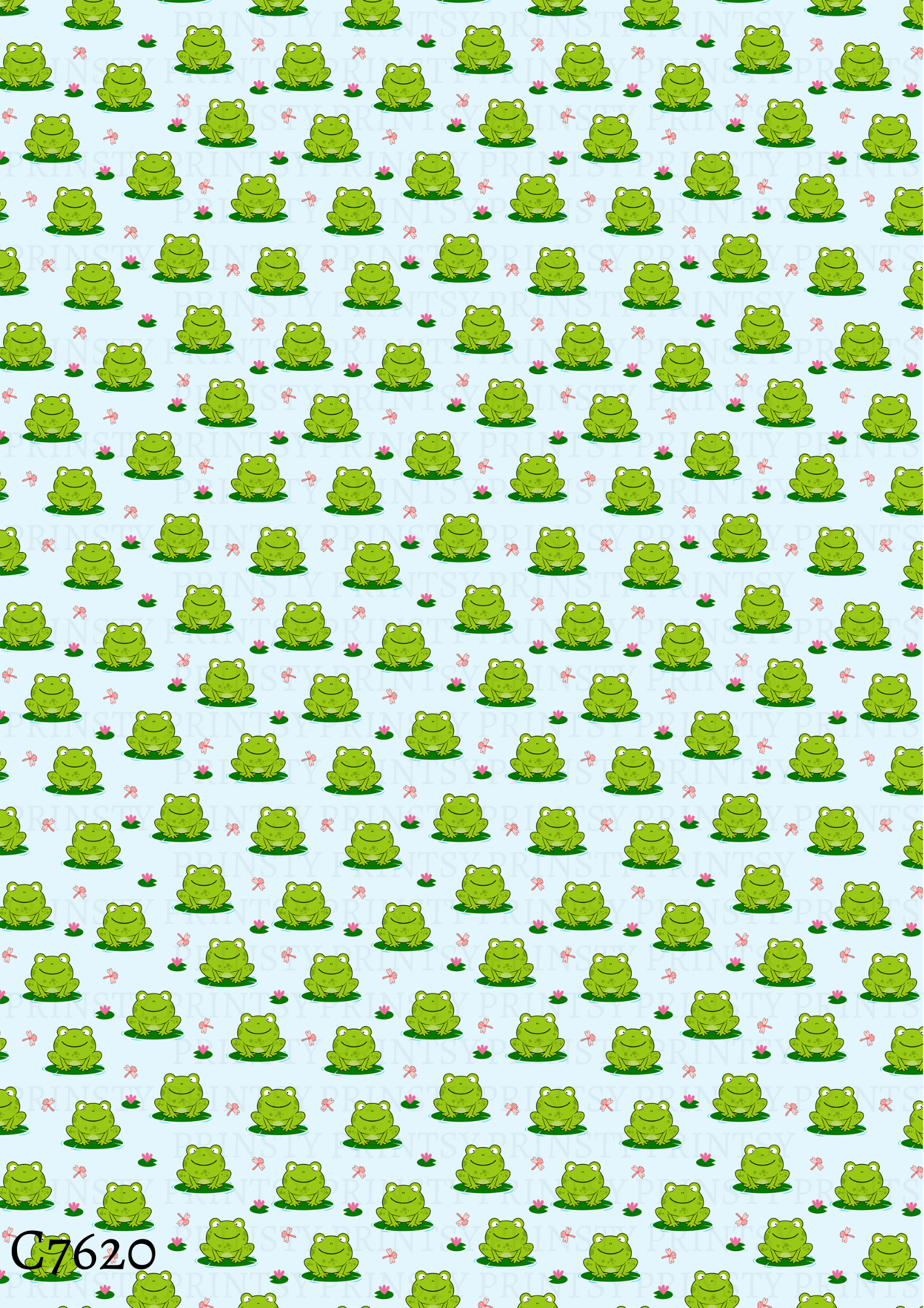 Frog Canvas