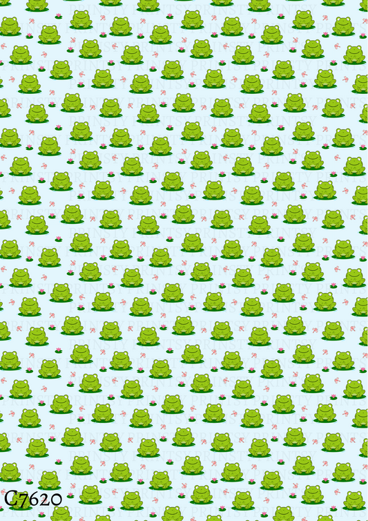 Frog Canvas