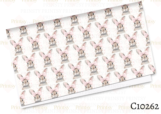 Bunny Canvas