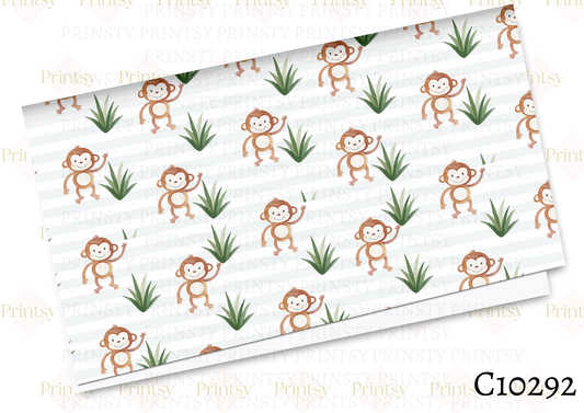 Monkey Canvas