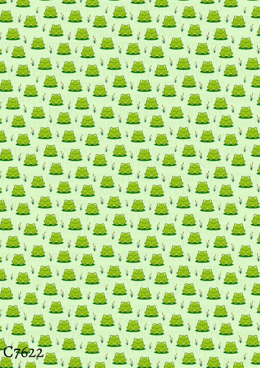 Frog Canvas