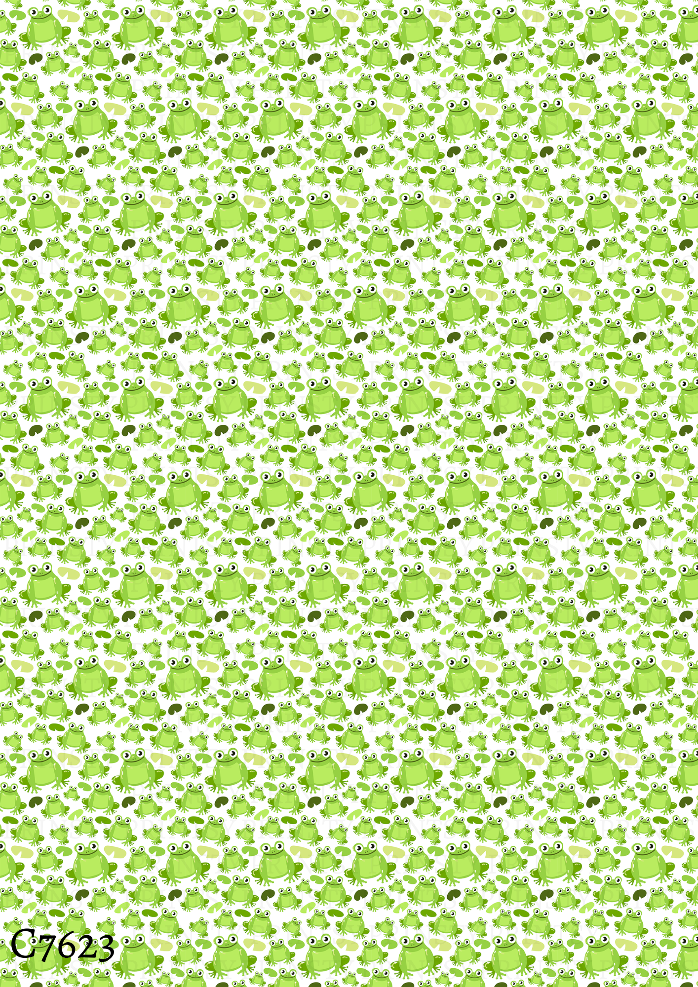 Frog Canvas