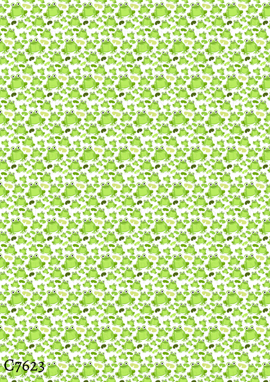 Frog Canvas