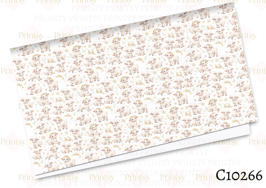 Spring Lamb Canvas