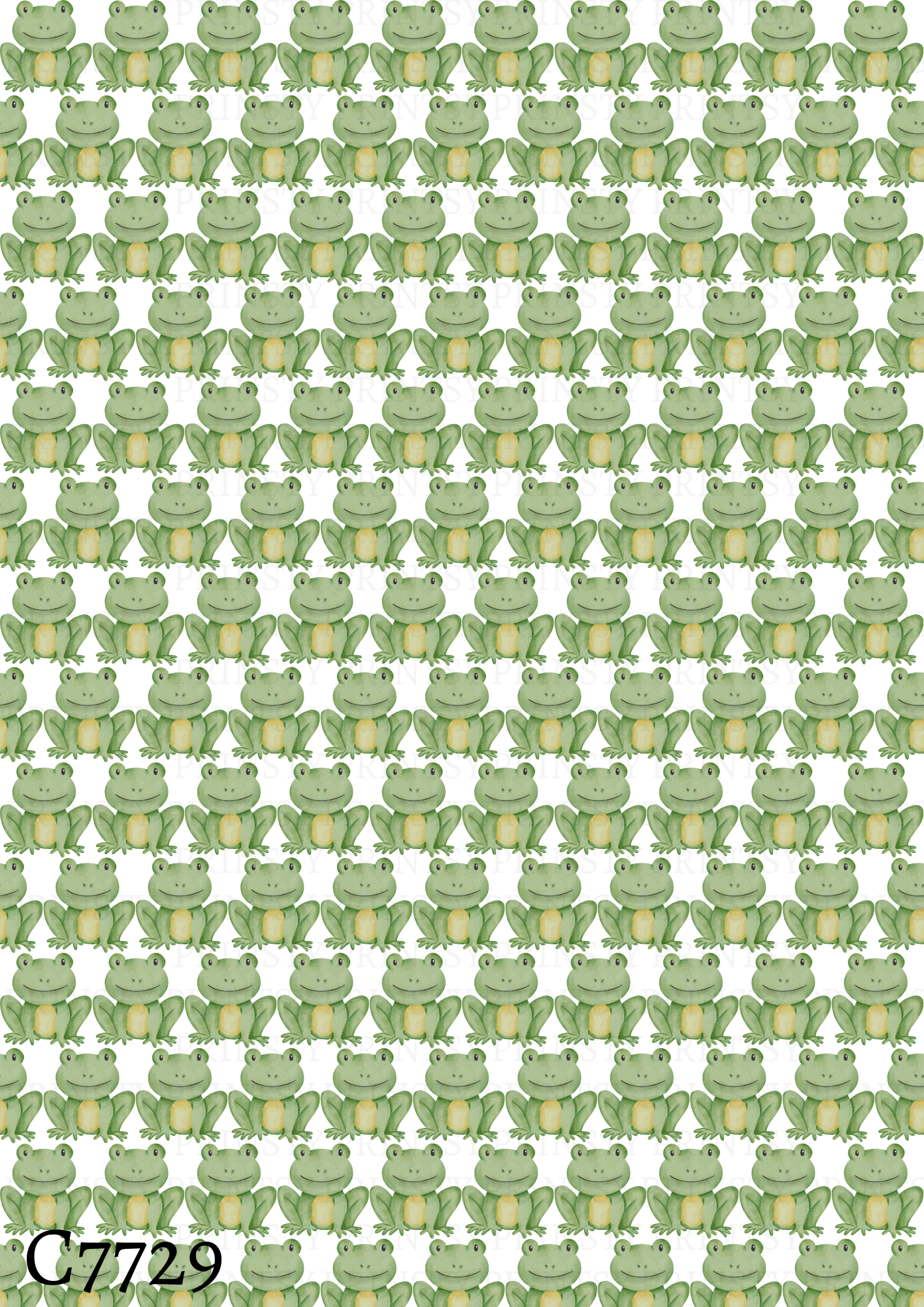 Frog Canvas