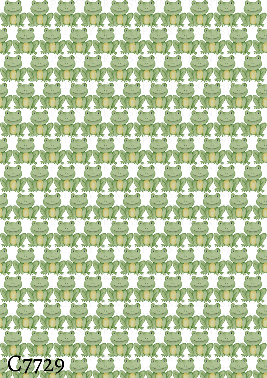 Frog Canvas