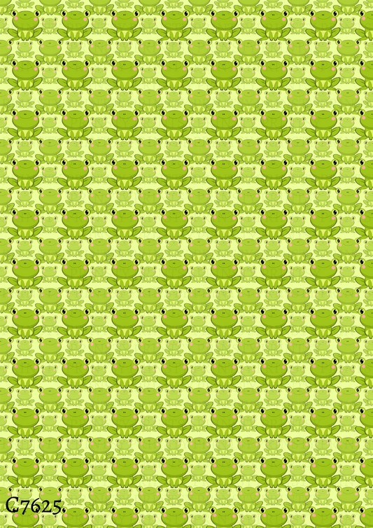 Frog Canvas