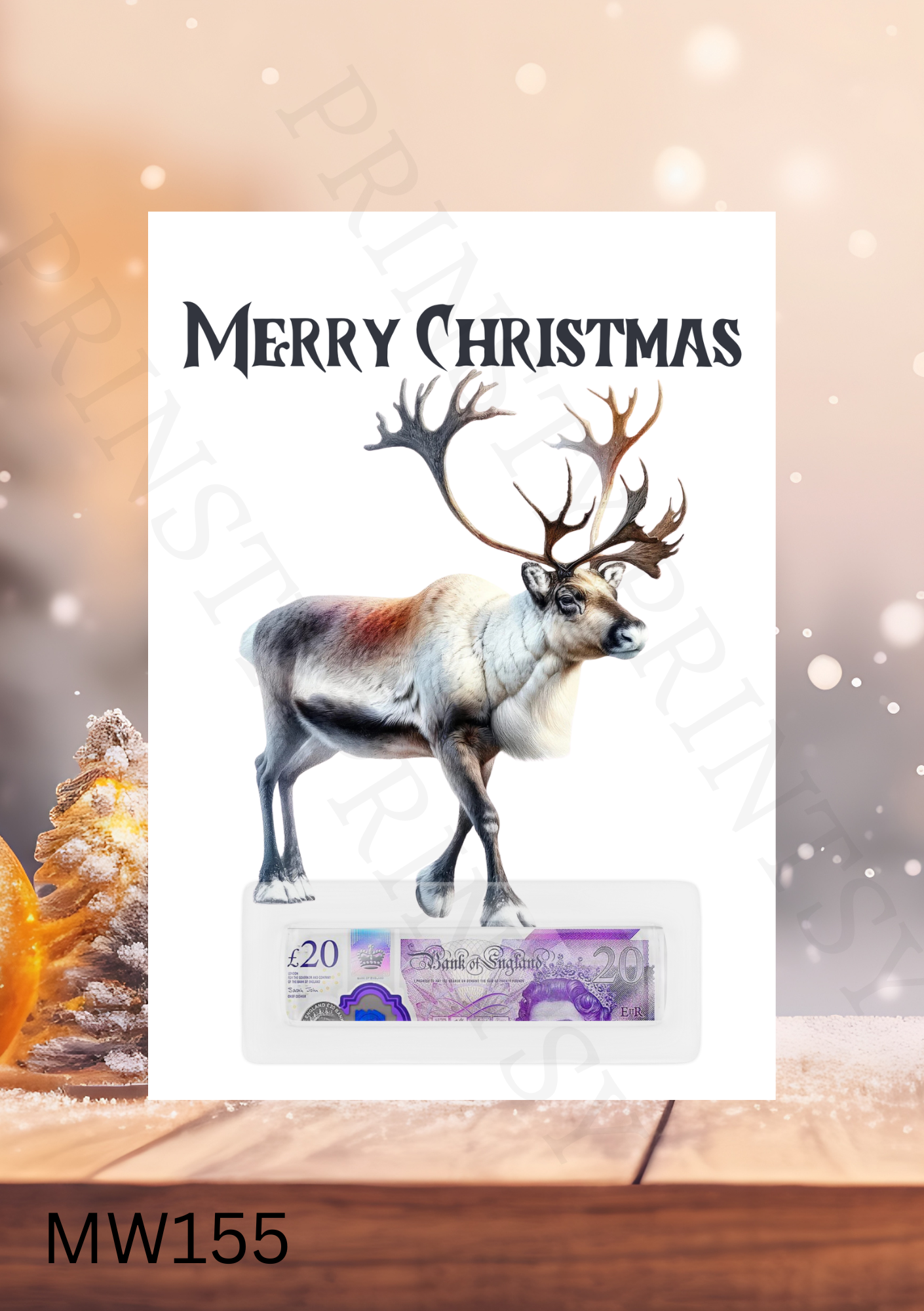 Christmas Money Card