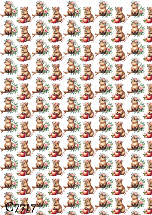 Capybara Canvas