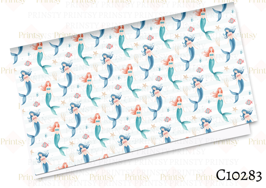 Mermaid Canvas
