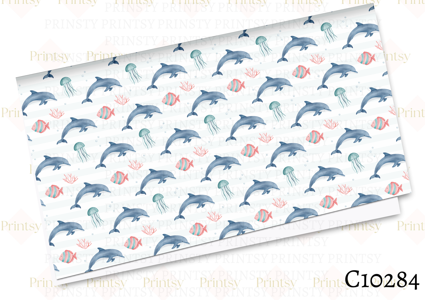 Dolphin Canvas