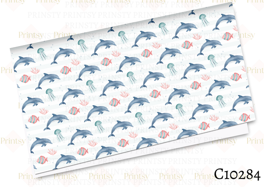 Dolphin Canvas