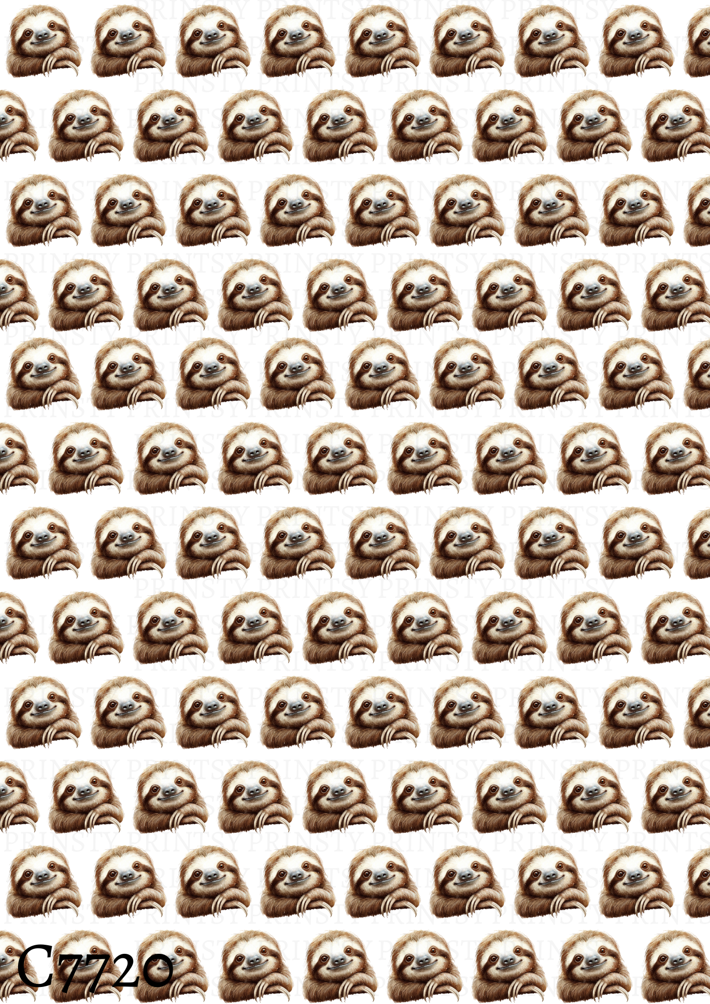 Sloth Canvas