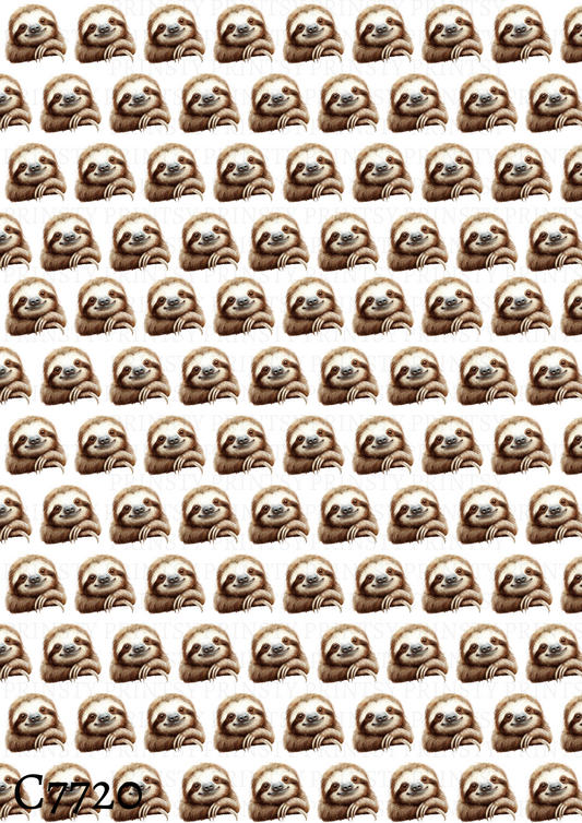Sloth Canvas