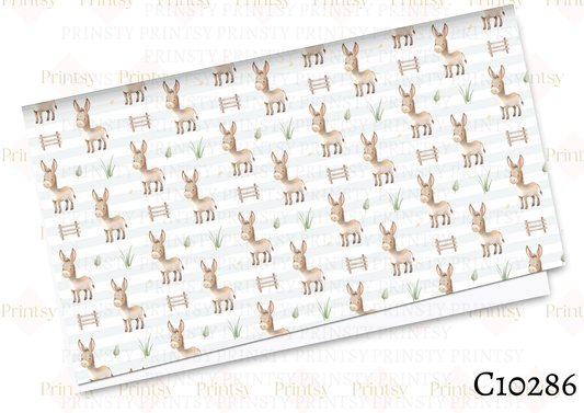 Donkey Canvas