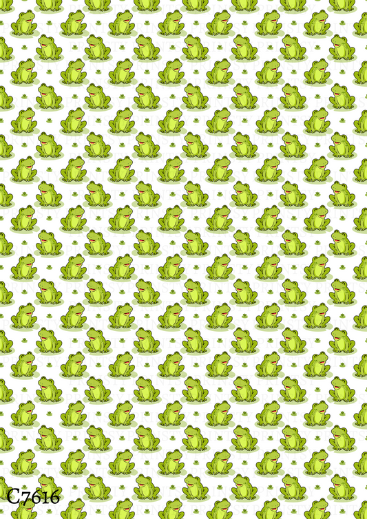 Frog Canvas