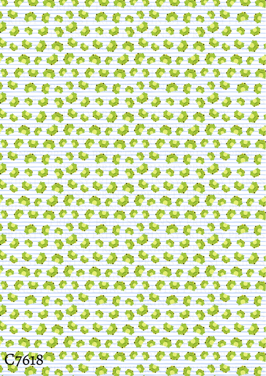 Frog Canvas