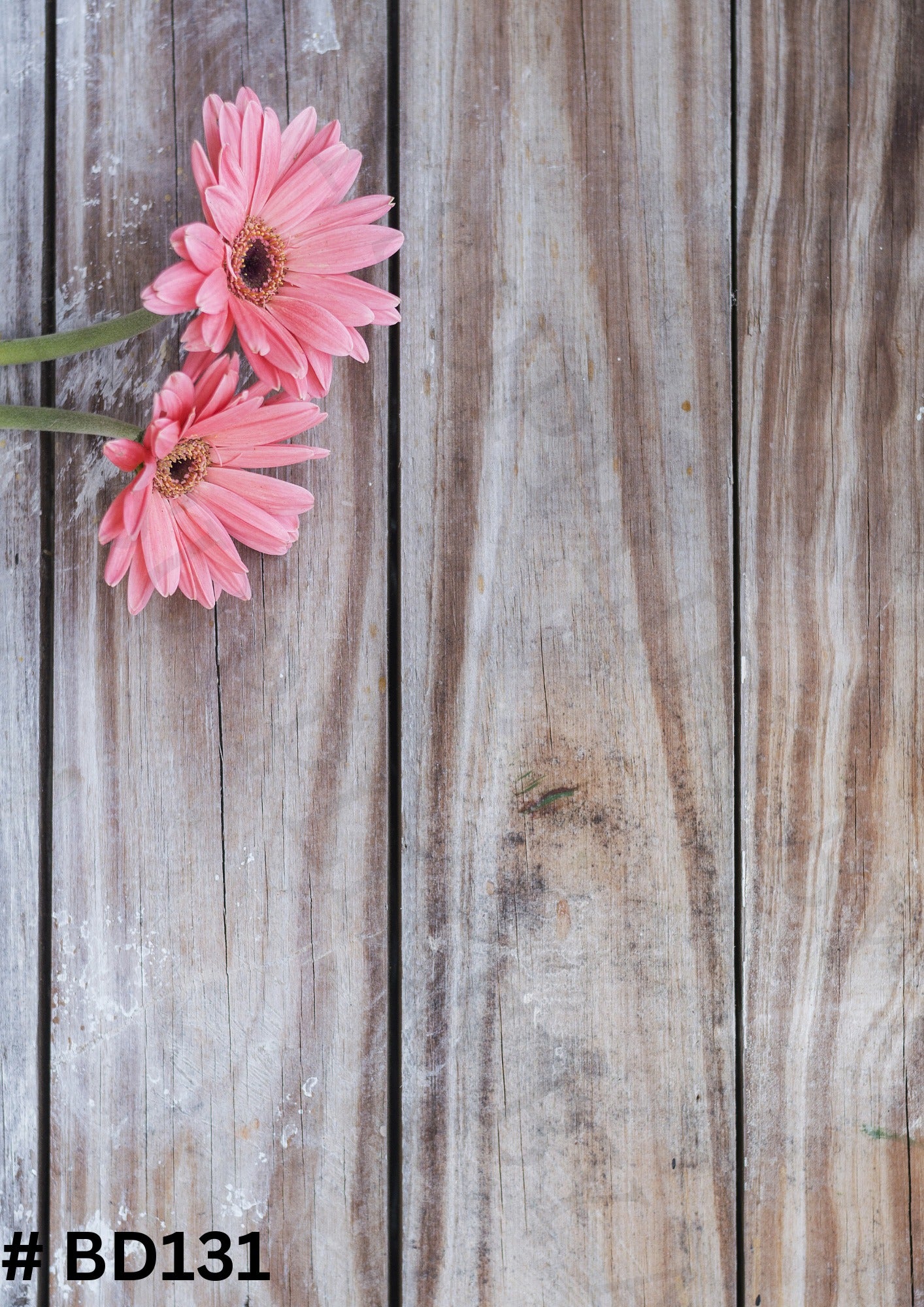 Flower Backdrop