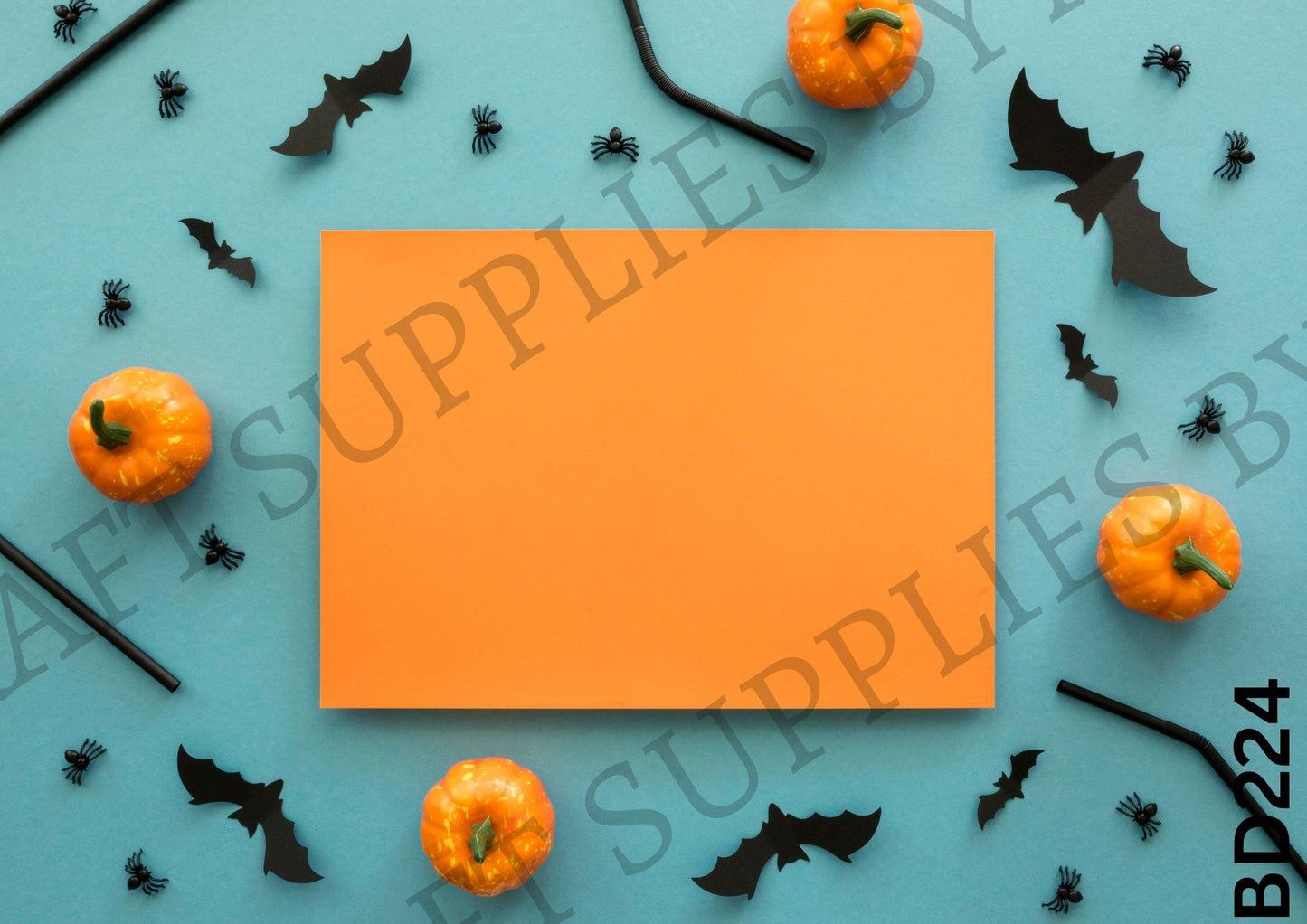 Halloween Backdrop