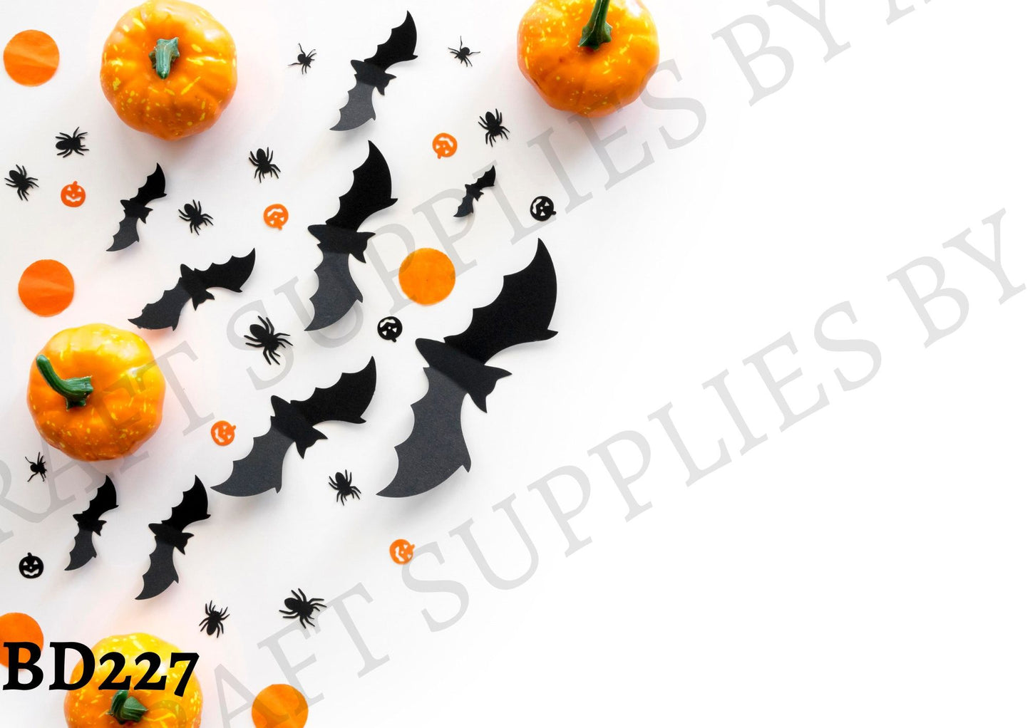 Halloween Backdrop