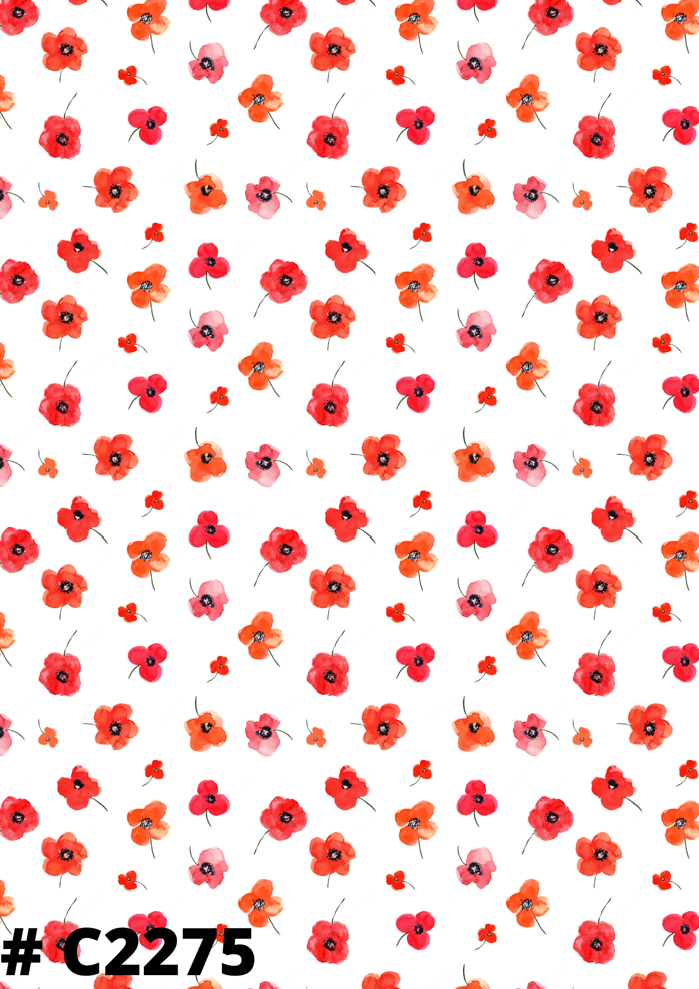 Poppy Canvas