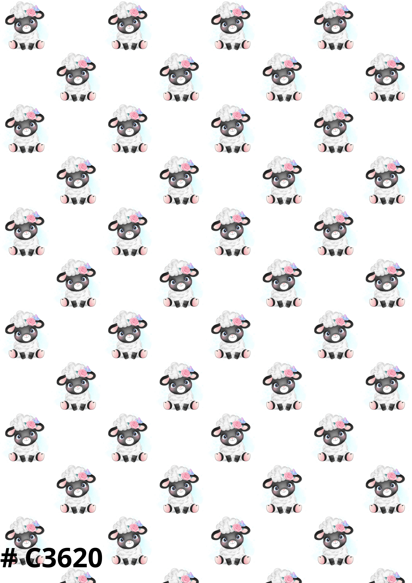 Sheep Canvas