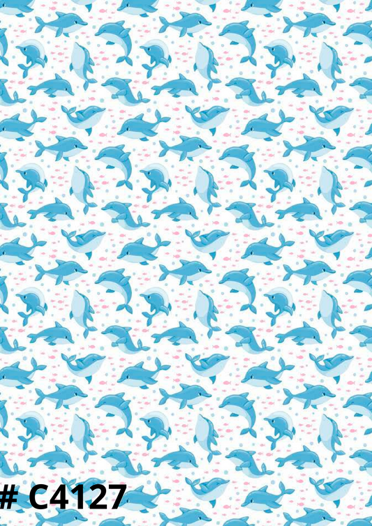 Dolphin Canvas