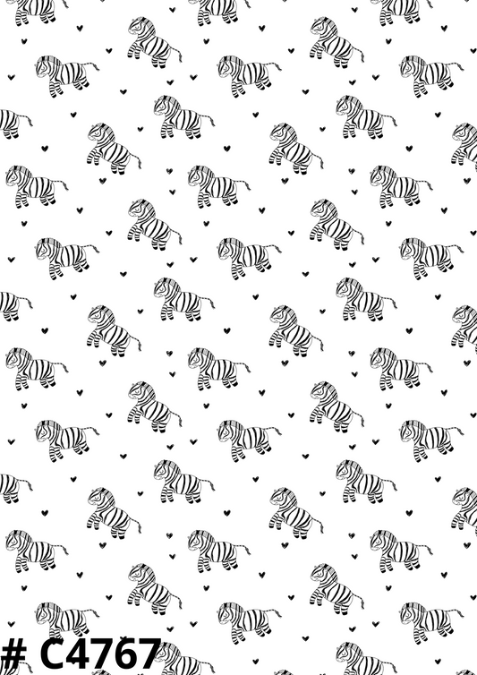 Zebra Canvas